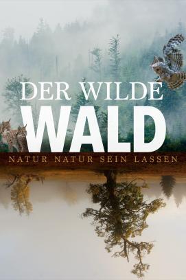 Der wilde Wald - Natur Natur sein lassen