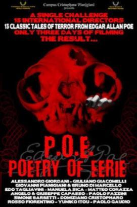 Edgar Allan Poe - Geschichten des Wahnsinns