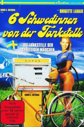 Sechs Schwedinnen von der Tankstelle